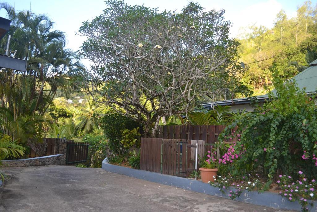Southpointchalets Takamaka Bagian luar foto